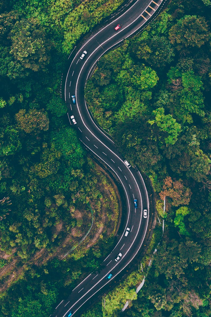 A sweeping aerial view of an S-shaped road winding through vibrant green Malaysian forest.